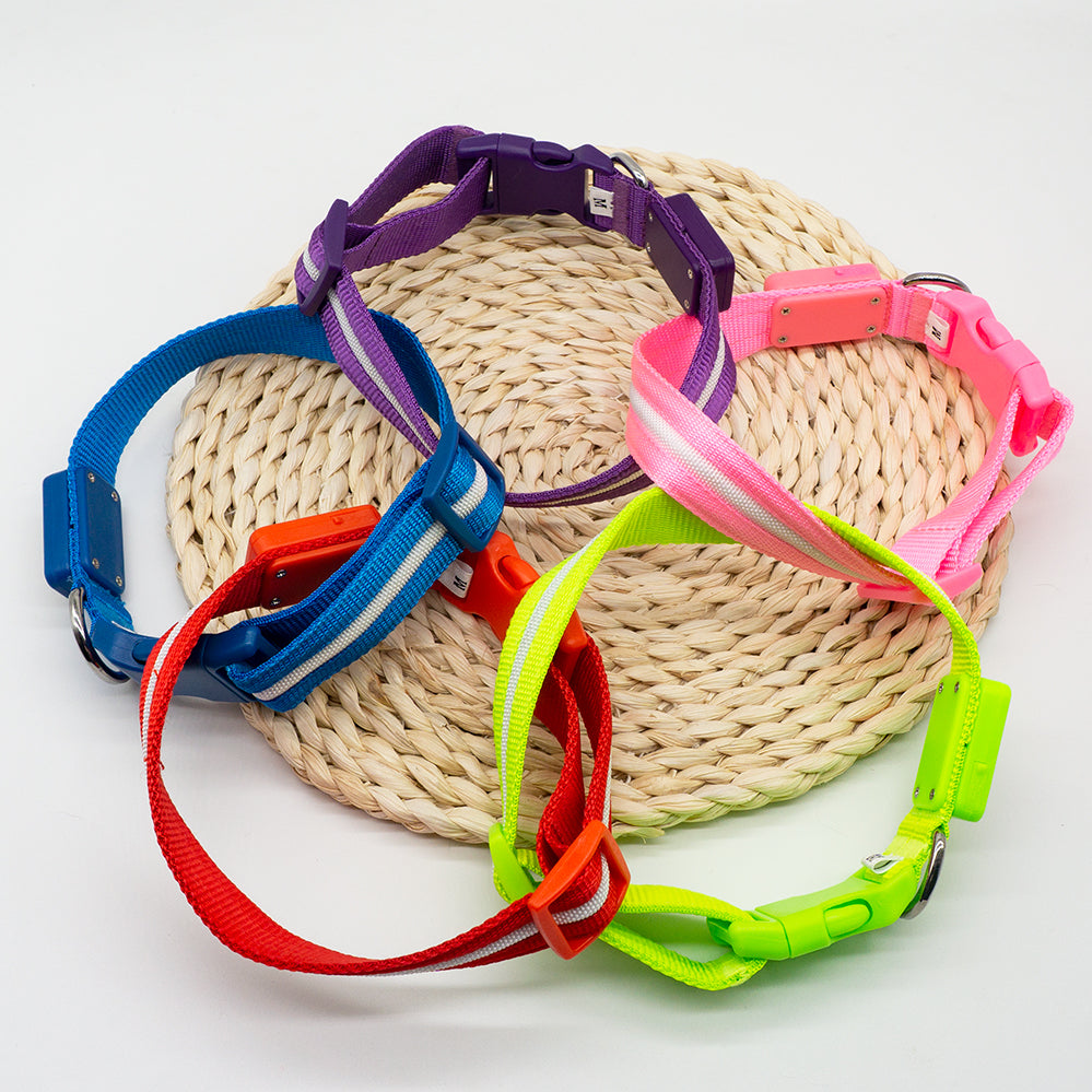 Fashion LED Dog Collar