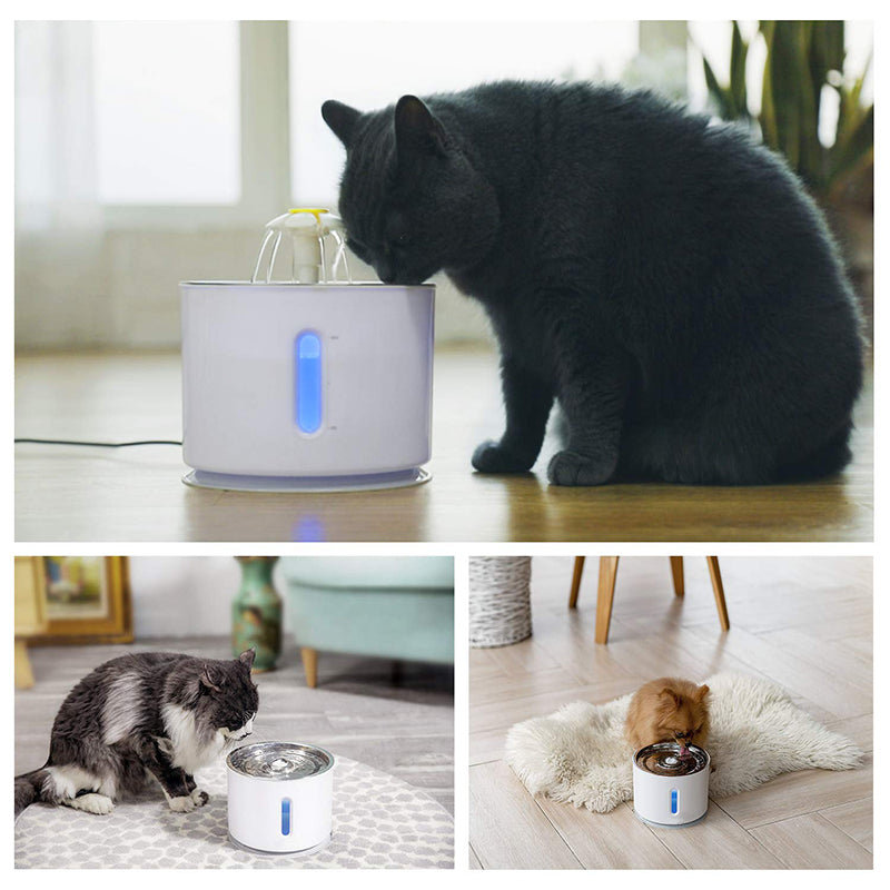 Pet Automatic Water Dispenser
