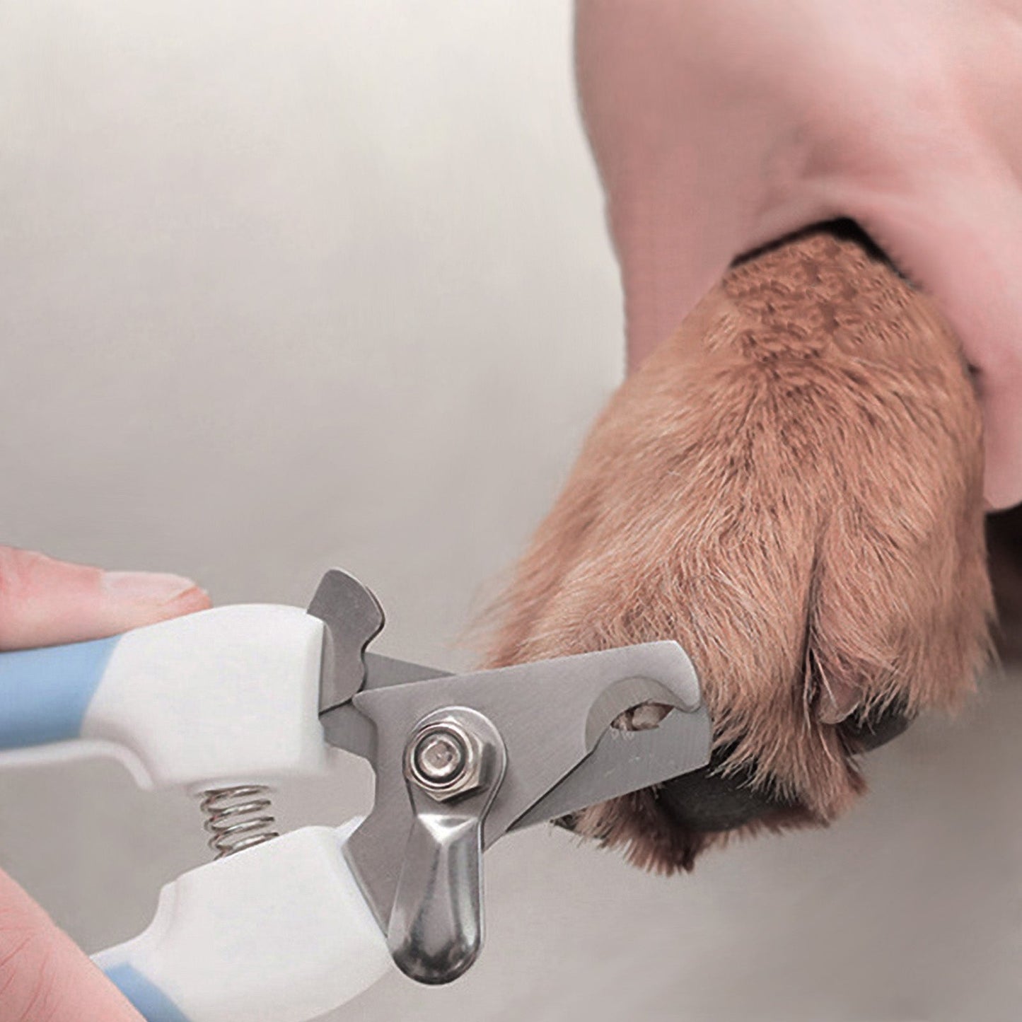Pet Nail Clipper