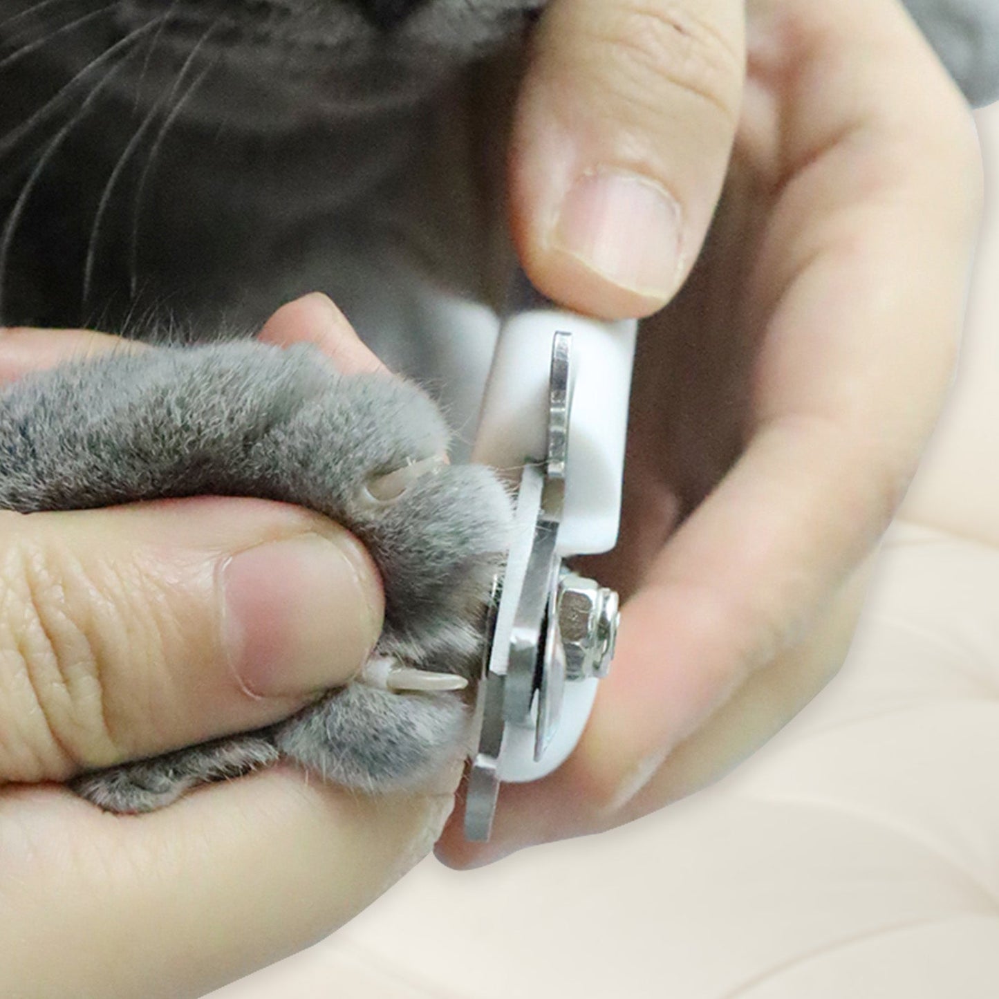 Pet Nail Clipper