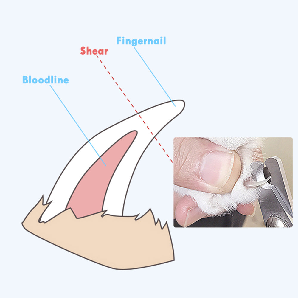 Pet Nail Clipper