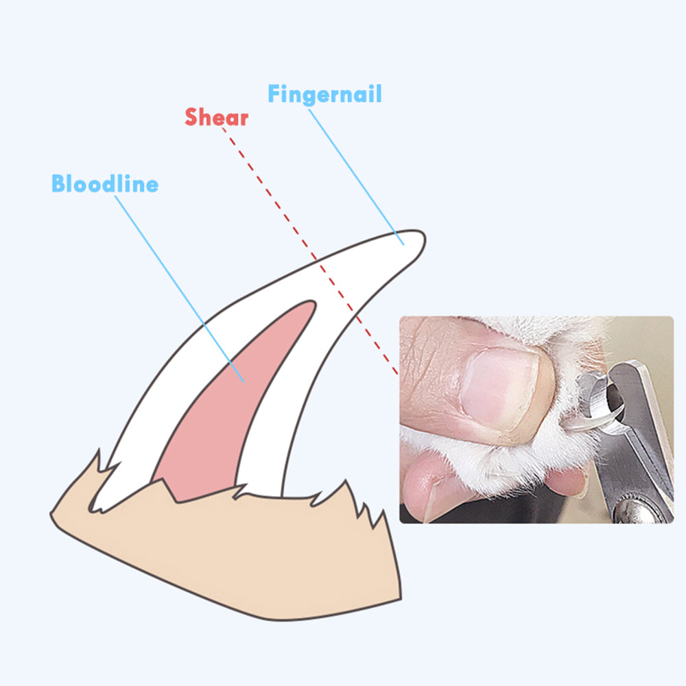 Pet Nail Clipper